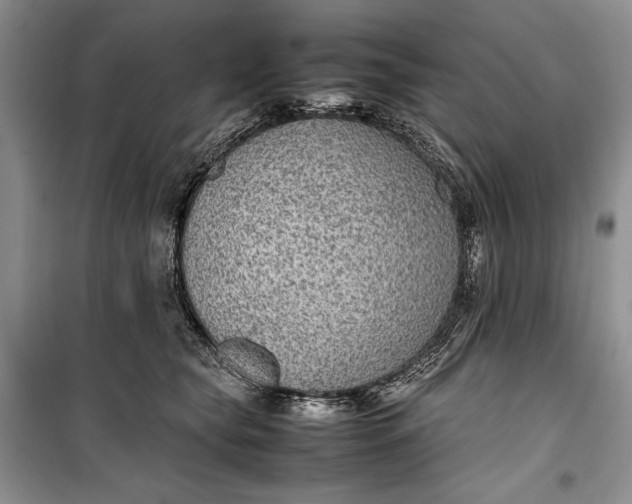 X0000100190565200806131210