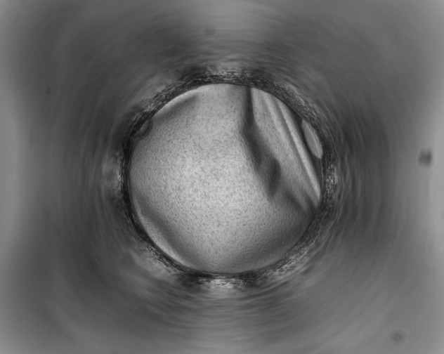 X0000100190566200806131210