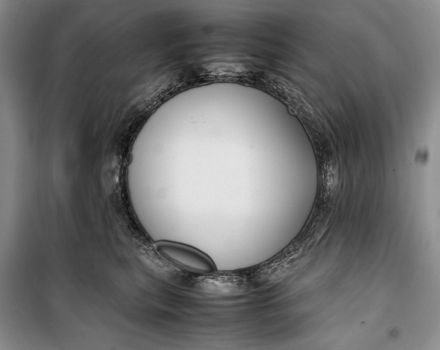 X0000100190567200806131210