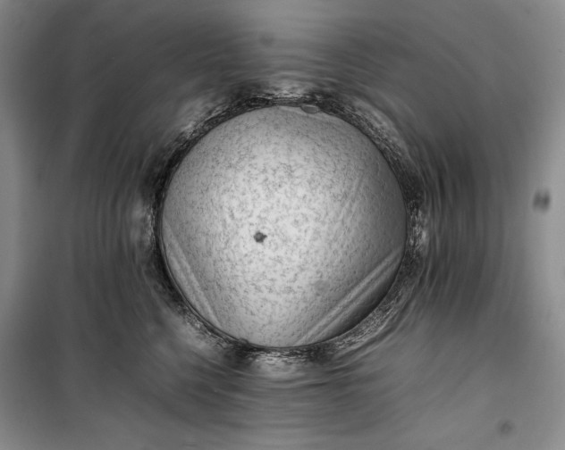 X0000100190568200806131210