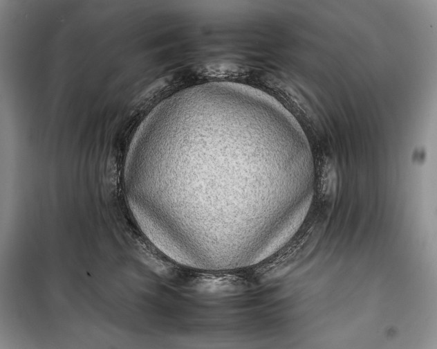 X0000100190569200806131210