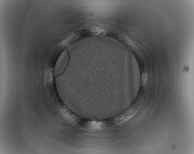 X0000100190570200806131210