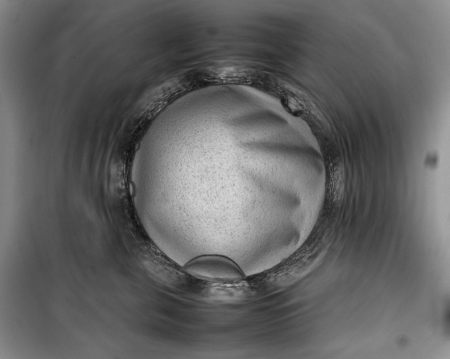 X0000100190571200806131210