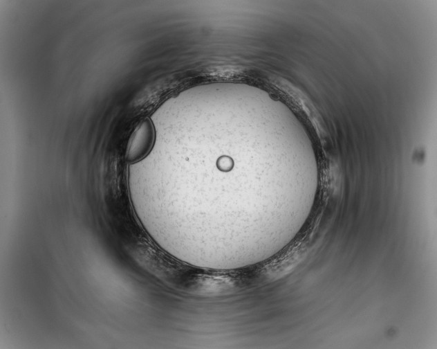 X0000100190572200806131210