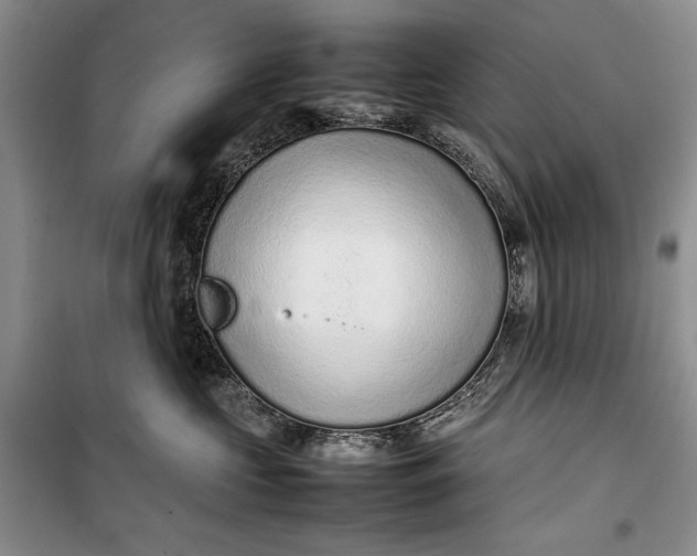 X0000100190573200806131210