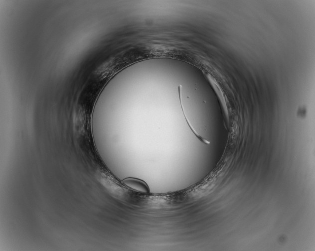 X0000100190574200806131210