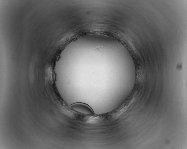 X0000100190575200806131210