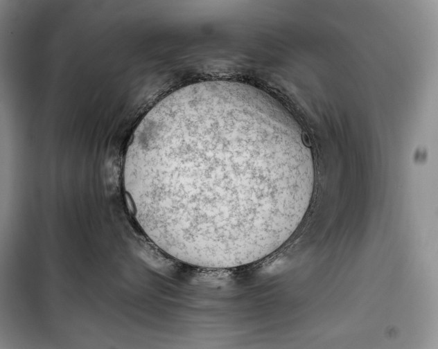 X0000100190576200806131210