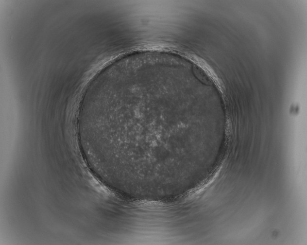 X0000100190577200806131210