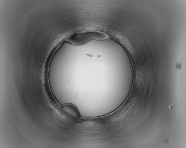 X0000100190578200806131210