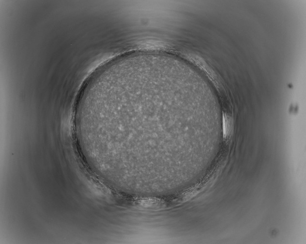 X0000100190579200806131210