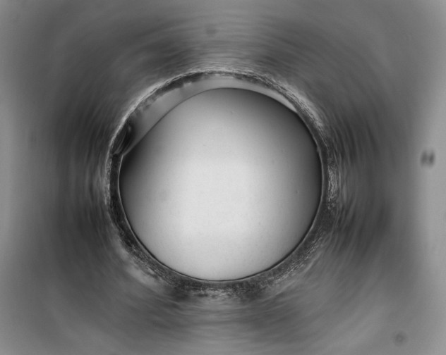 X0000100190580200806131209