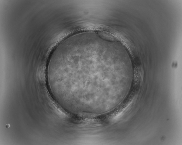 X0000100190581200806131209