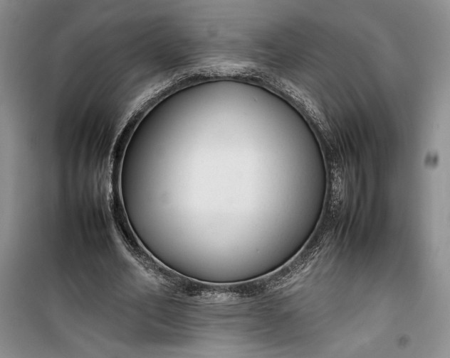 X0000100190582200806131209