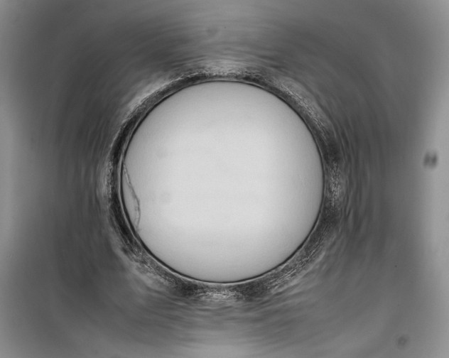 X0000100190583200806131209