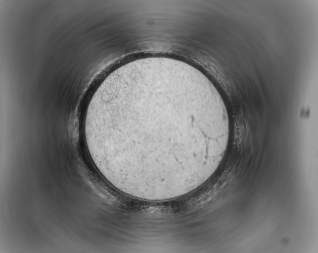 X0000100190584200806131209