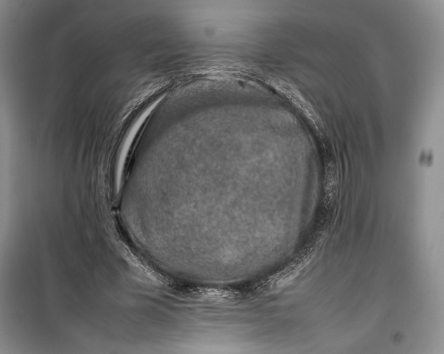 X0000100190585200806131209