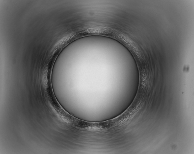 X0000100190586200806131209