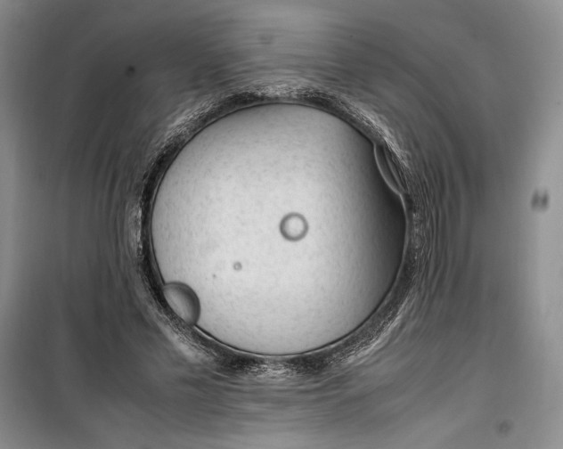 X0000100190589200806131209