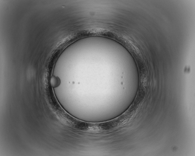 X0000100190591200806131209