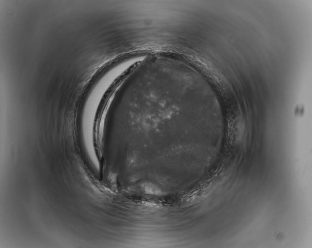 X0000100190592200806131209