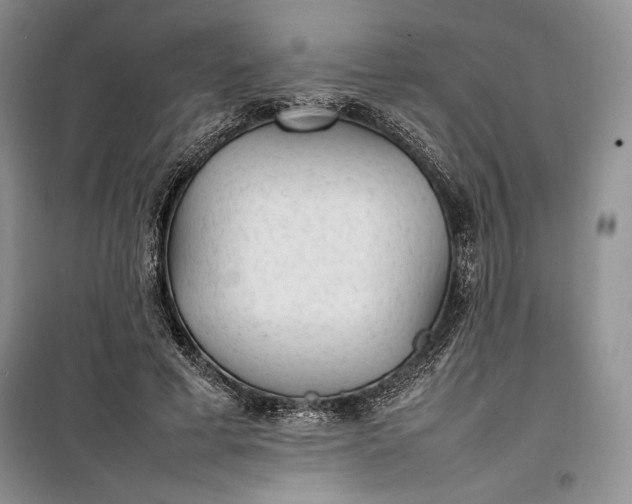 X0000100190593200806131209