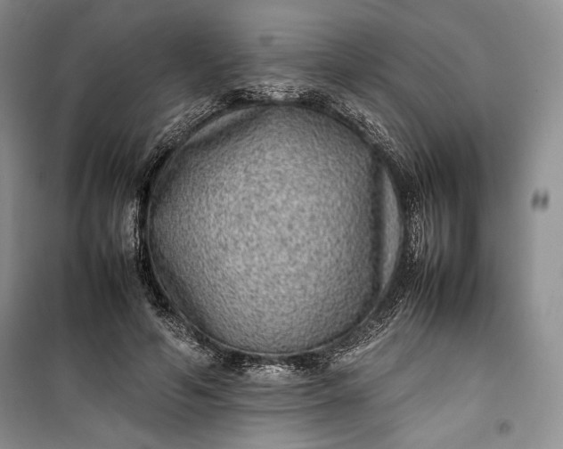 X0000100190594200806131209