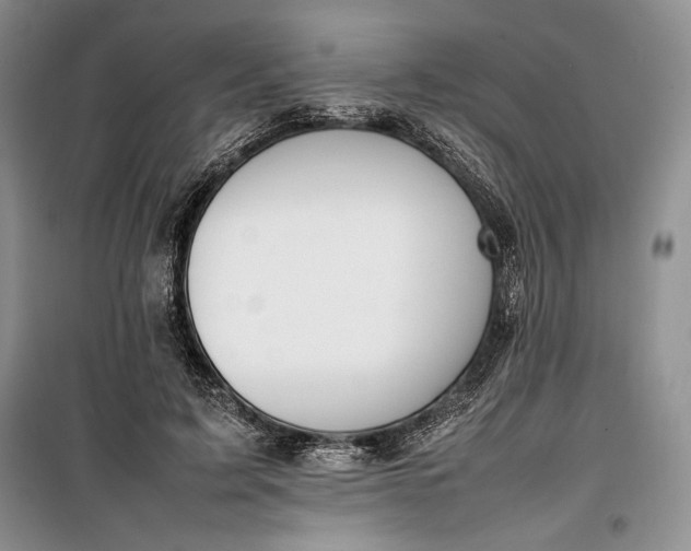 X0000100190595200806131209