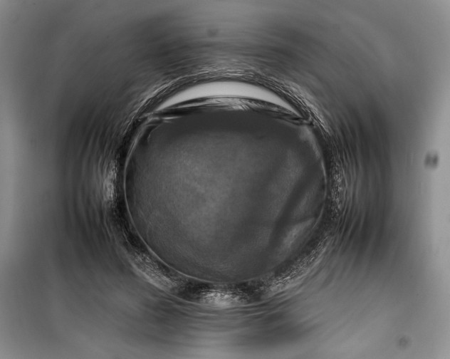 X0000100190596200806131209