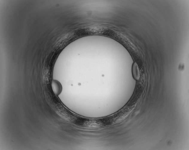 X0000100190597200806131209