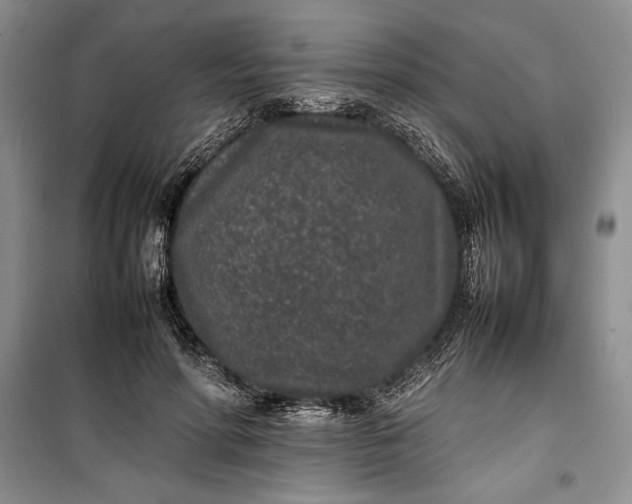 X0000100190598200806131209