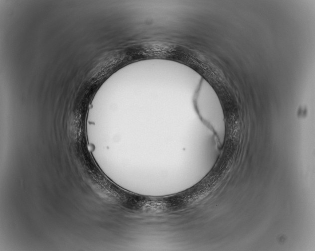 X0000100190599200806131209