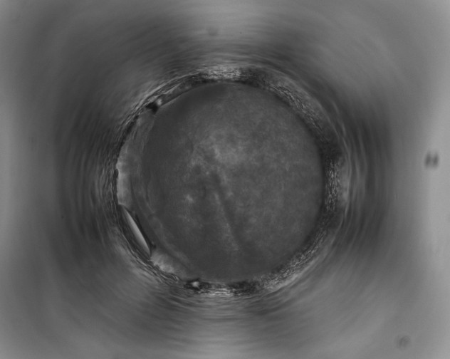 X0000100190600200806131209