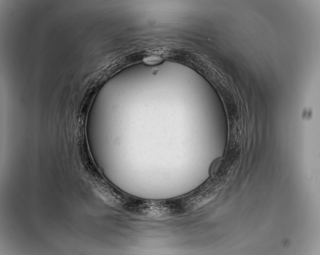 X0000100190601200806131209