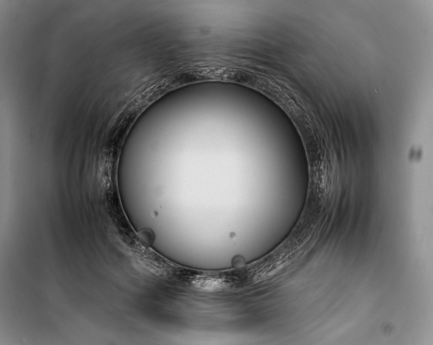 X0000100190602200806131209