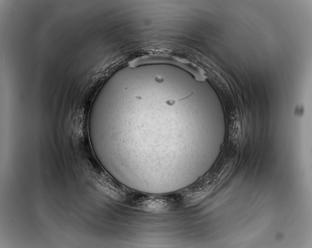 X0000100190604200806131209