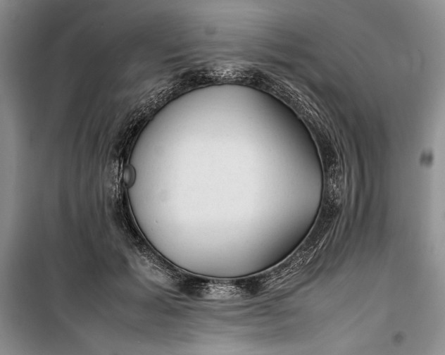 X0000100190605200806131209