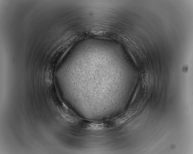 X0000100190606200806131209