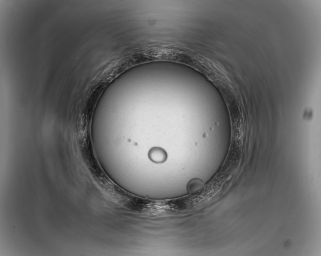 X0000100190607200806131209