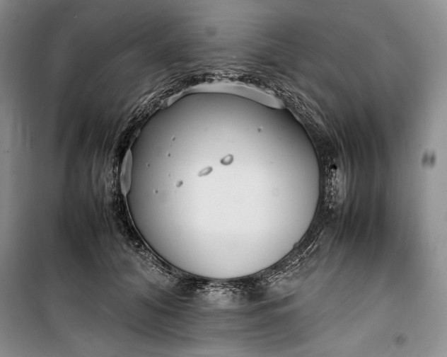 X0000100190608200806131209