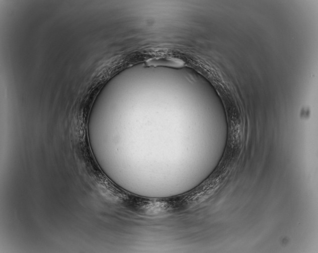 X0000100190609200806131209