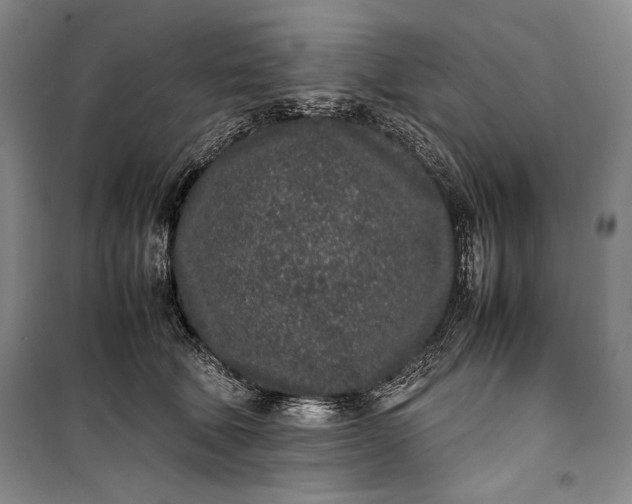 X0000100190610200806131209