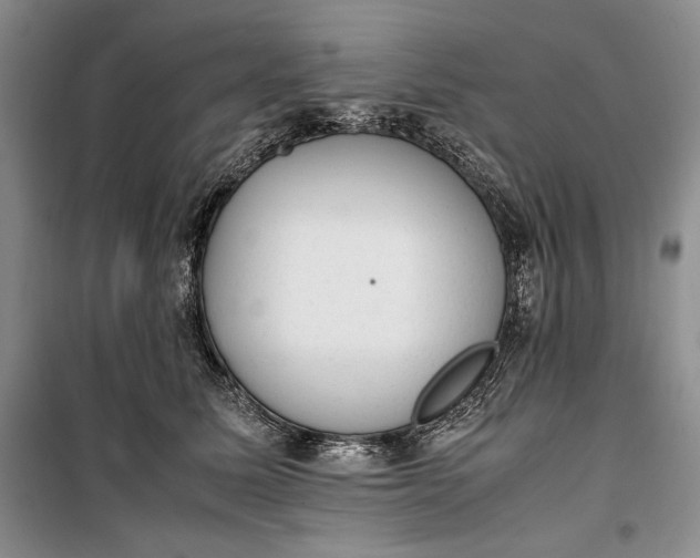 X0000100190611200806131209