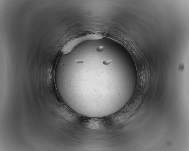 X0000100190612200806131209