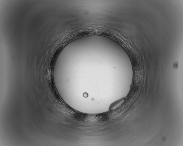 X0000100190613200806131209