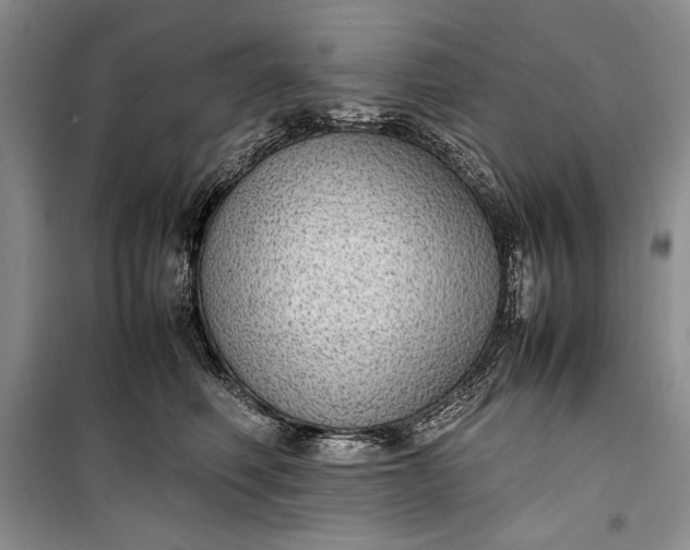 X0000100190614200806131209