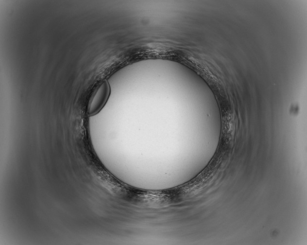 X0000100190615200806131209