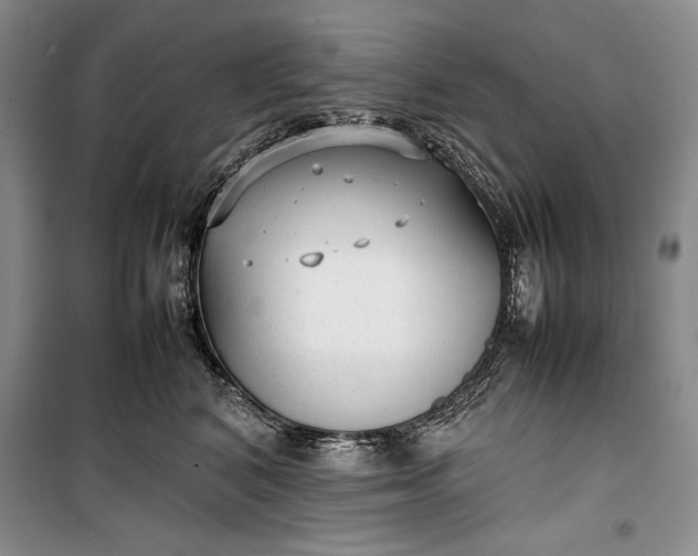 X0000100190616200806131209