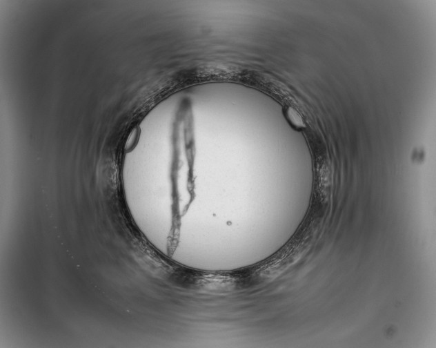 X0000100190617200806131209