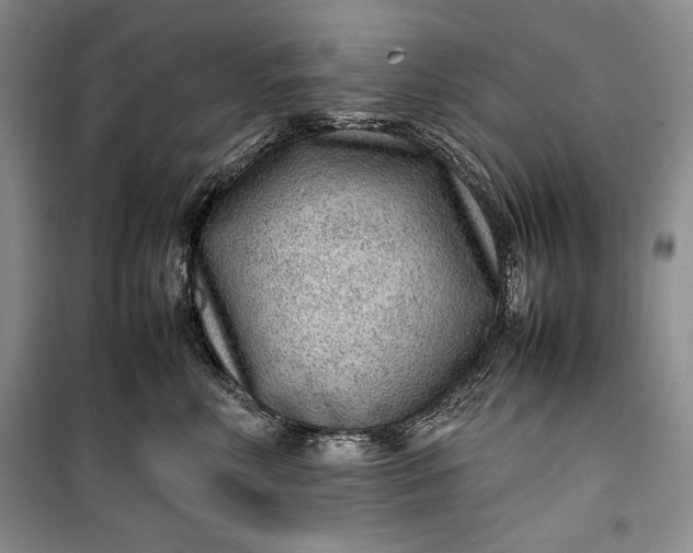 X0000100190618200806131209